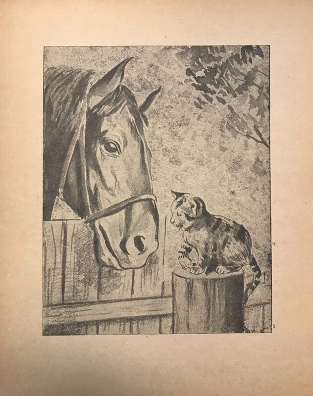 Ройтман - Цып-цып -6.jpg