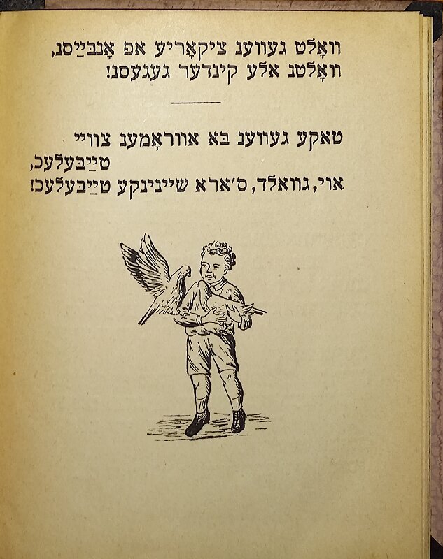 Бланк - Буру - 13.jpg