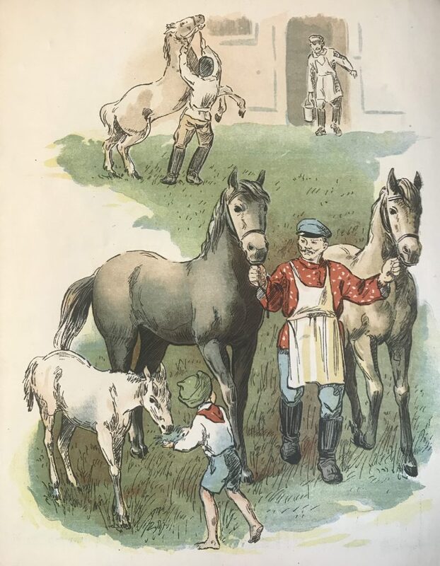 Дайц - вырасту - 5.jpg