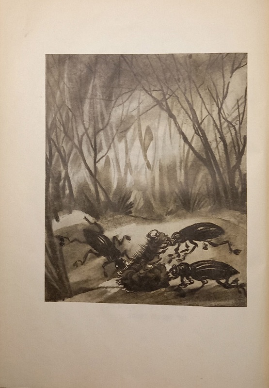 Короткин - 10 историй -20.jpg